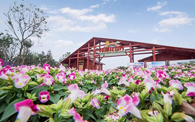 利来w66(中国区)_来利国际旗舰