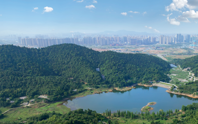 利来w66(中国区)_来利国际旗舰