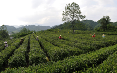 利来w66(中国区)_来利国际旗舰