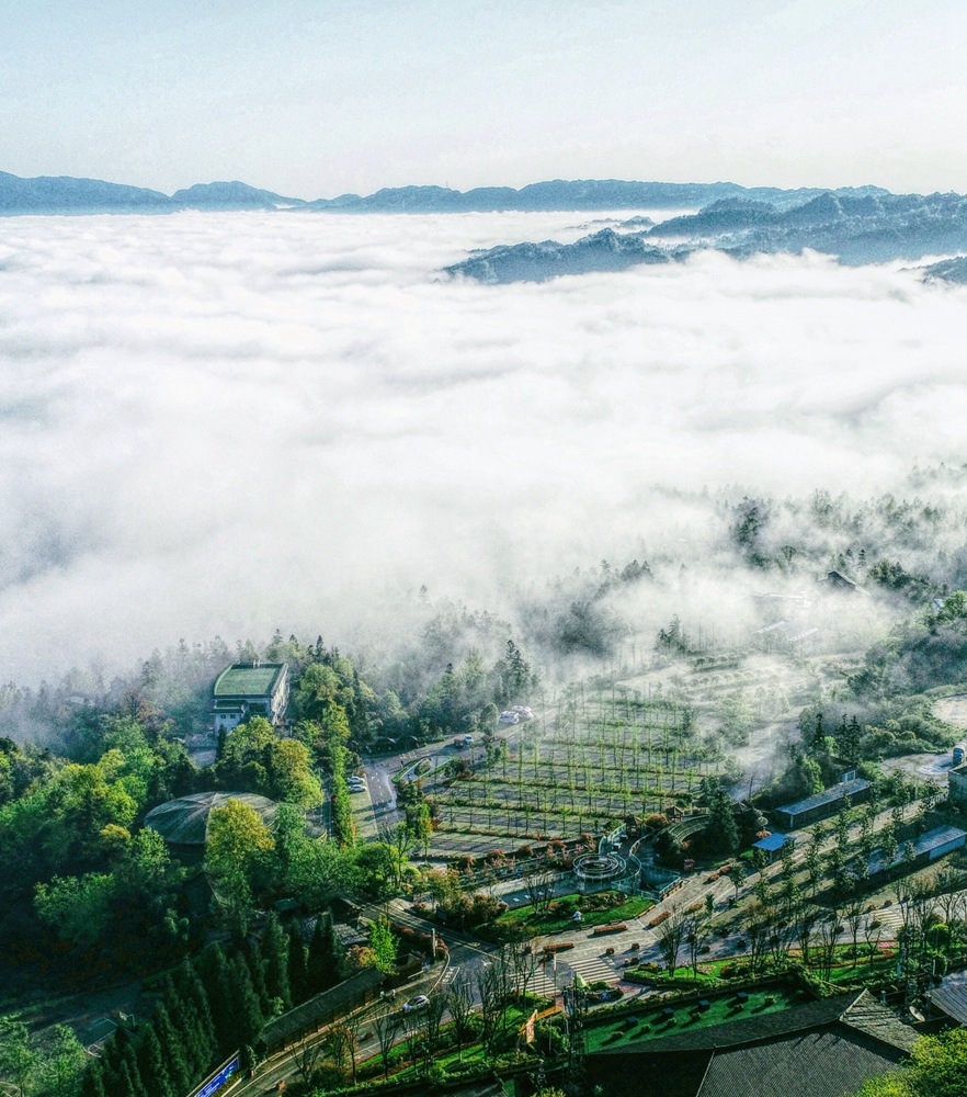 利来w66(中国区)_来利国际旗舰