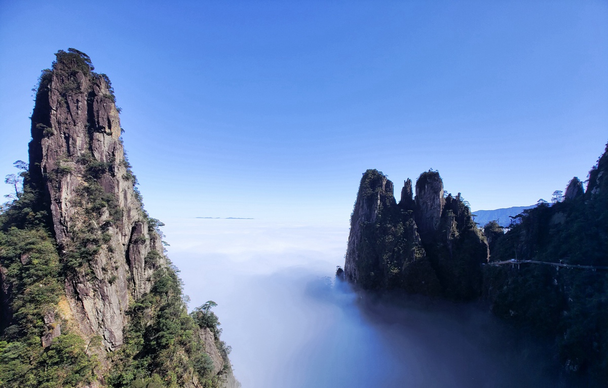 利来w66(中国区)_来利国际旗舰